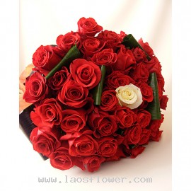 42 Roses Bouquet